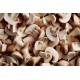 Mushrooms, Crimini / Case