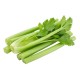 Celery Fresh 24CT/Case
