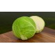 Cabbage, Green 50LB/Bag