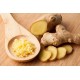 Ginger / Case