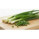 Onions, Green / Case
